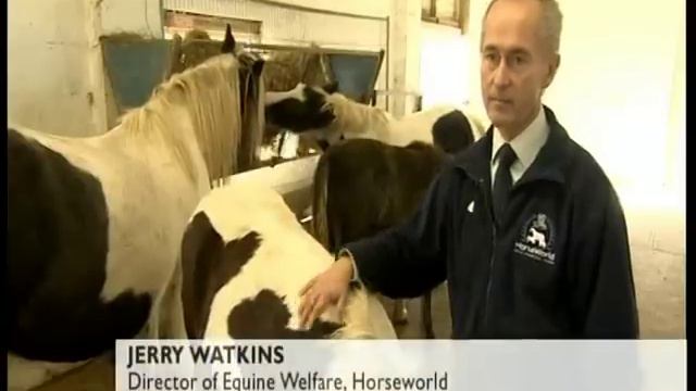 HorseWorld Horse Crisis BBC Points West Part 2 смотреть онлайн