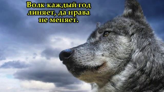 Мудрость народная - лучшие пословицы смотреть онлайн