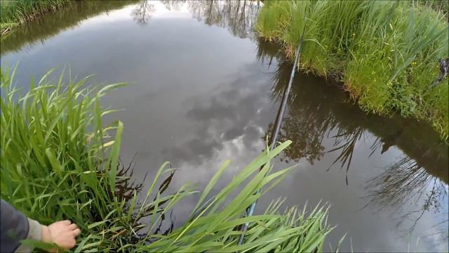 Ловля карася на узкой речке. смотреть онлайн