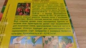 Томат Дрова