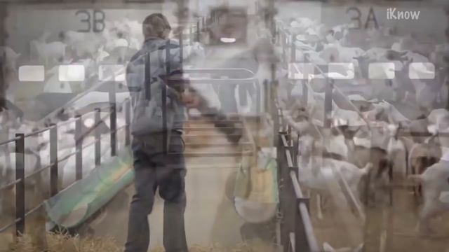 Инновационные технологии в сельском хозяйстве смотреть онлайн