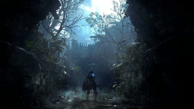 ХЕНТАЙНЫЕ ДУШИ ДЛЯ ДЕВЫ В ЧЕРНОМ [Demon's Souls ЗОРГЕН] смотреть онлайн