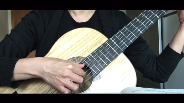 Antonio Vivaldi - Largo (Cover by Disem Wu) смотреть онлайн