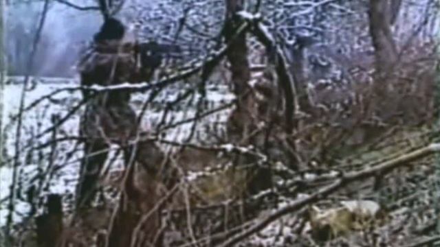 ♫♪ АРМЕЙСКИЕ ПЕСНИ ПОД ГИТАРУ ► АВТОБАТ (АВТОМОБИЛЬНЫЕ ВОЙСКА) смотреть онлайн