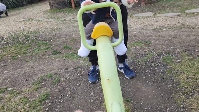 Контактный зоопарк в Бургасе. Попугаи, обезьяны, верблюды, ламы и другие. смотреть онлайн