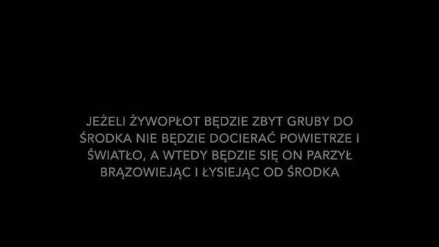 Cięcie Tuji Brabant - by IGLAKI WOLSZTYN смотреть онлайн