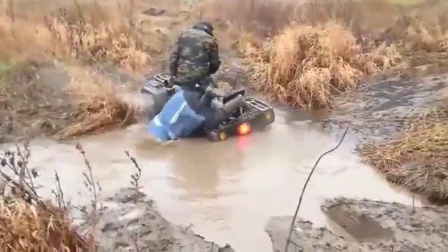 янтар носом шукають смотреть онлайн