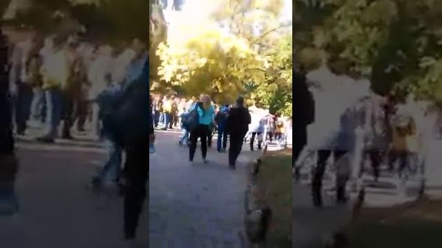 Германия открыла рождественские огни!(59) смотреть онлайн
