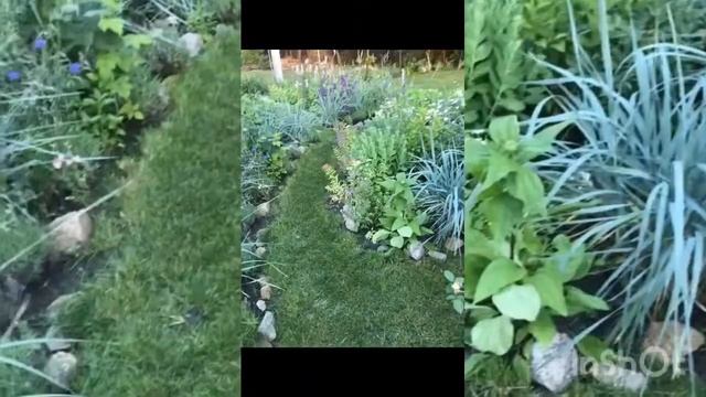 Сад в природном стиле. Июнь смотреть онлайн