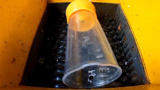 Fast Teeth Shredder Machine vs Durian Skin смотреть онлайн