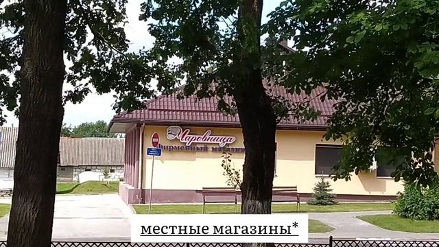 Иностранные студенты учат белорусский? Поездка в Гудевичи,Республика Беларусь, Гродненская область. смотреть онлайн