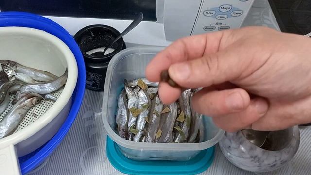 Засолка рыбы и икры в домашних условиях