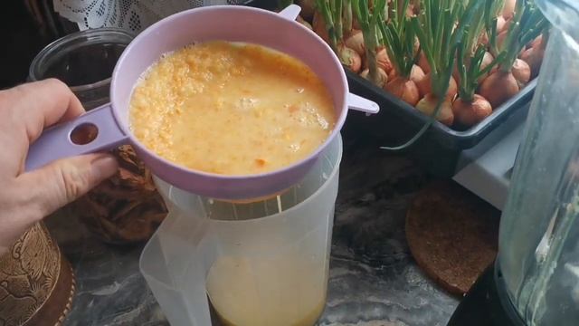 Чем БЕСПЛАТНО подкормить РАССАДУ и КОМНАТНЫЕ цветы? ИЗ отходов в ДОХОДЫ! смотреть онлайн