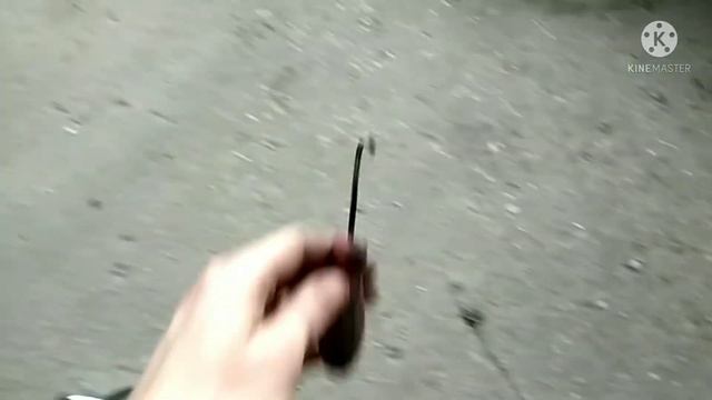 Интерьерный Образец