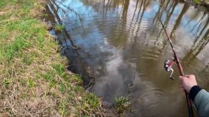 ЛОВЛЯ УКЛЕЙКИ ВЕСНОЙ НА ПОПЛАВОЧНУЮ УДОЧКУ! Апрель-Май!