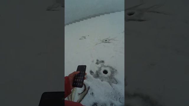 Ловля хищника на сурморе с помощью Dap Drift Pro смотреть онлайн