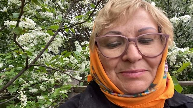 2022-05-25черемуовый цвет