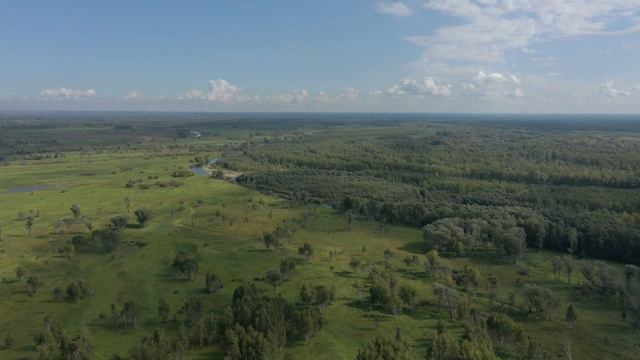 остров Задевный алтайский край Барнаул смотреть онлайн