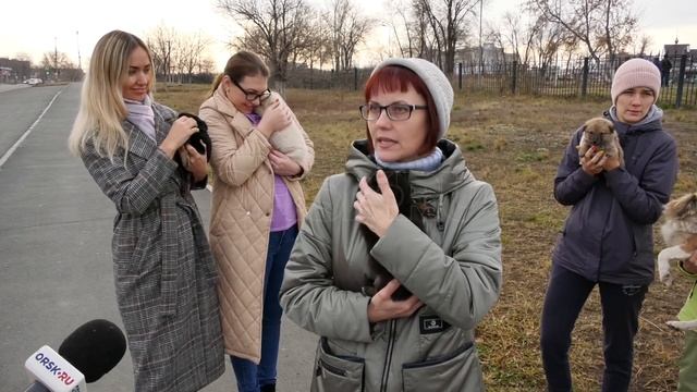 В Орске в коробке на улицу выкинули четвероногих пушистиков 3