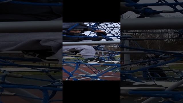 Красавчик рядом гуляет без хозяев (((