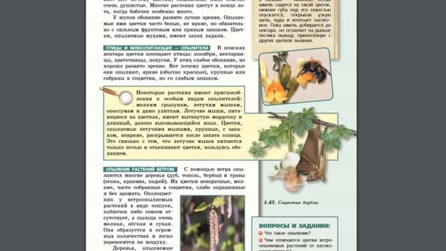 Биология (Л.Н.Сухорукова) 5-6к §47 Опыление смотреть онлайн