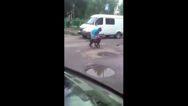 Собаки дерутся.Как растащить с минимальными потерями смотреть онлайн