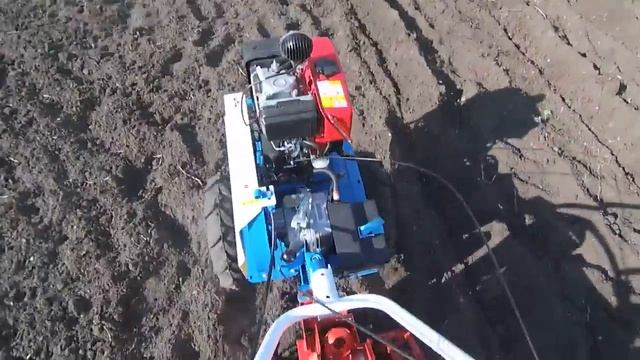 Посадка картофеля мотоблоком МБ23-СД27 смотреть онлайн