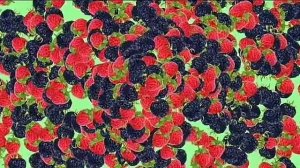 Футаж. Ягодка малинка ????