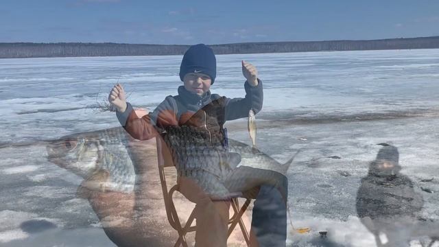 Аргази, бешенный клев чебака, 7 апреля 2019 смотреть онлайн