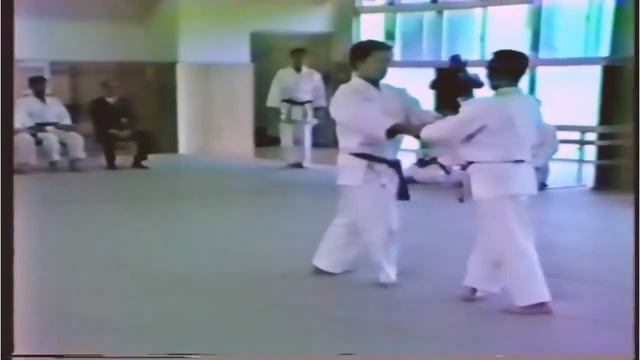 El emperador numero 126 Naruhito visita a Gozo Shioda Sensei смотреть онлайн