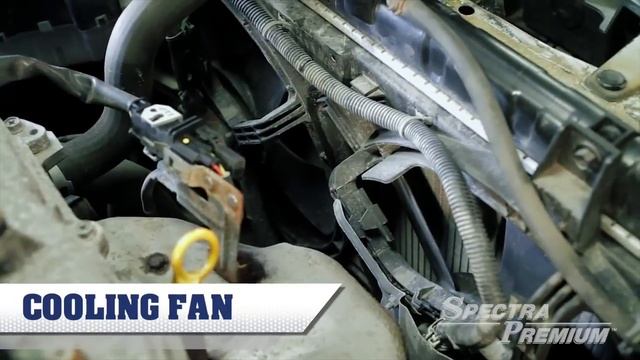 Spectra Premium Cooling Systems - Part 1 смотреть онлайн