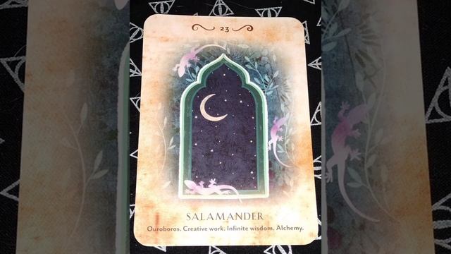 Pure Magic Oracle Flip Through смотреть онлайн