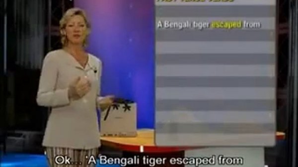 Learn English, Level 1- English Today - CD 6