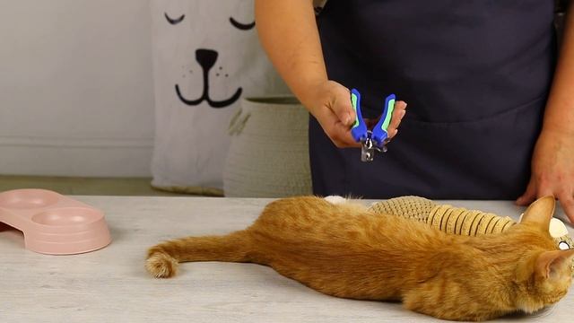 Когтерез для грумминга/Когтерезы для животных/ножницы для кошек собак смотреть онлайн