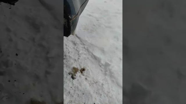 замена наружного ШРУС на форд фокус 2, С-Max