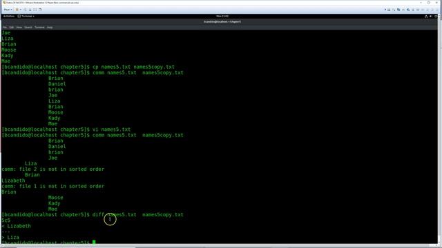 Chapter 5 comm and diff Commands смотреть онлайн