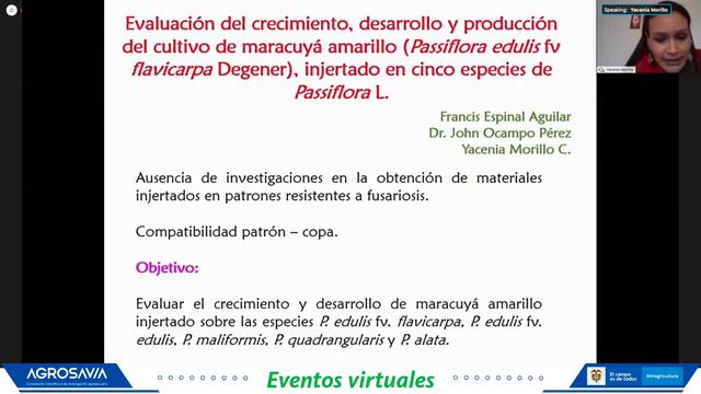 Fusarium en pasifloras Maracuyá, sesión III. Prevención bioseguridad y mejoramiento смотреть онлайн