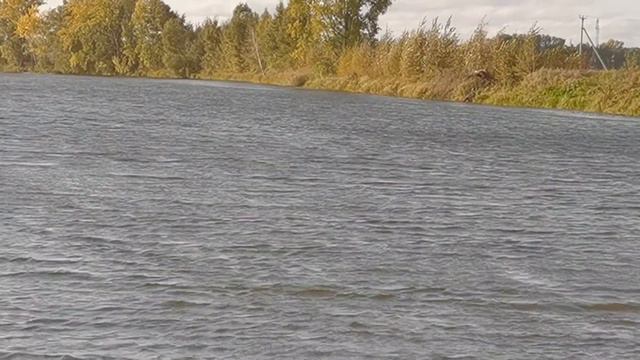 Глухое Новосибирск вышли поиграть 2020 смотреть онлайн