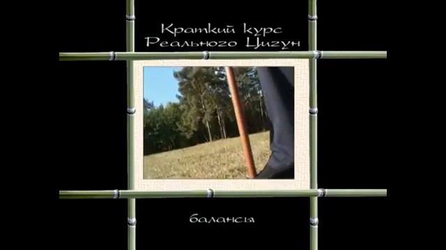 Краткий курс Реального цигун.Андрей Левшинов