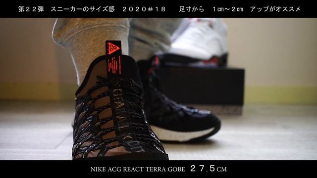 【第２２弾】 スニーカーサイズ感は？ 2020#18 NIKE2足 AJ5流川モデル ACG ゴービー смотреть онлайн