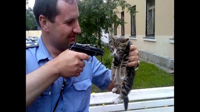 Тайны - приколы