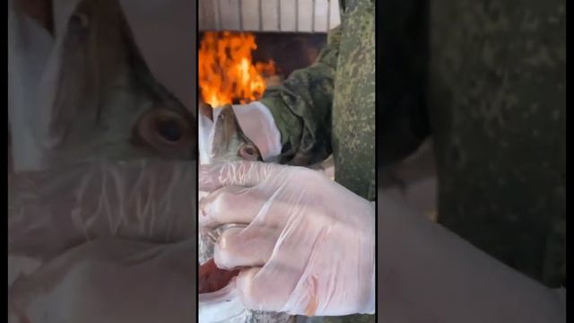 За кадром караси #барбекюкомплекс #гриль #дача #казан #рецепт #щука #карась #уха #супвказане #блюдо смотреть онлайн