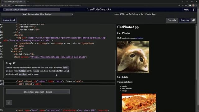 Learn HTML by Building a Cat Photo App - Step 47 смотреть онлайн