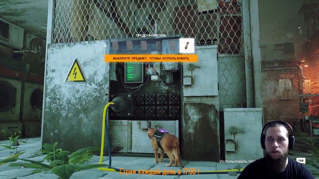 Stray Рыжий Котик нашел Дока, Отца Шеймуса смотреть онлайн
