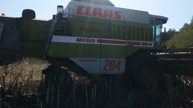 Уборка соняшнику ( Євраліс Шерпа) комбайном Claas 208 Mega смотреть онлайн
