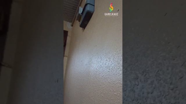 Reduktor va Schotchik смотреть онлайн