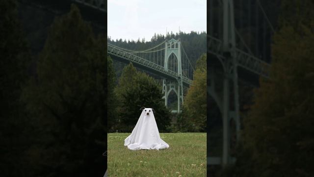 Страшно? смотреть онлайн