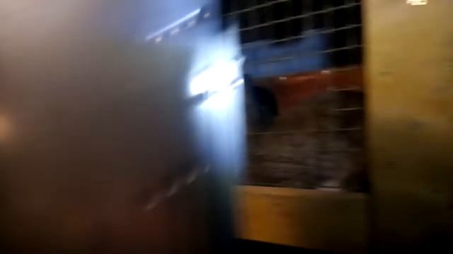 Новые кормушки для кроликов из Рязани смотреть онлайн
