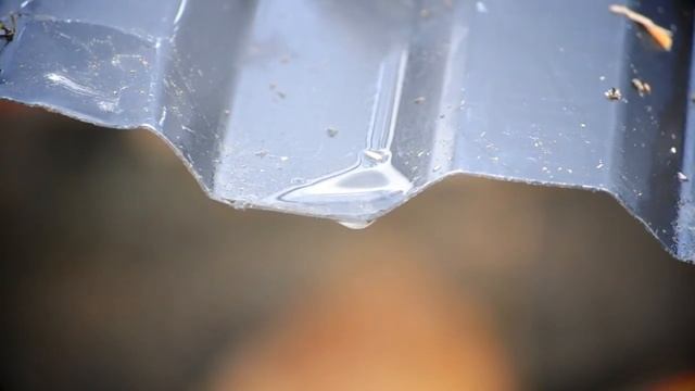 Nikon D3100: MF, Water drop смотреть онлайн