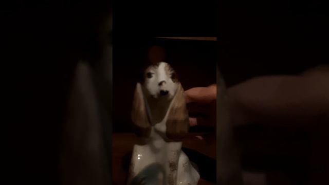 Learn English: porcelaine dog #asmr #learnlanguagesonline #learnlanguages #learnenglish смотреть онлайн